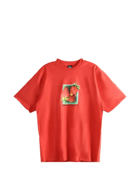 St&uuml;ssy graphic-print T-shirt