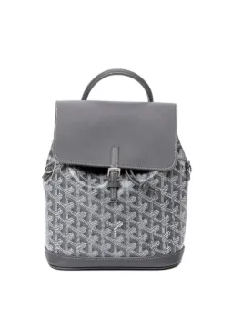 Goyard Pre-Owned mini Alpin backpack