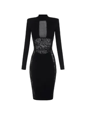 Elisabetta Franchi lace-panelled mesh-insert dress